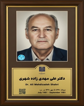 دکتر علی مهدی زاده شهری